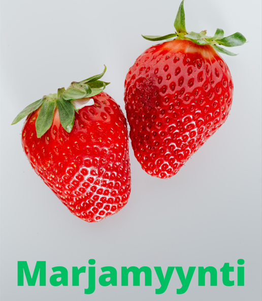 Marjamyynti
